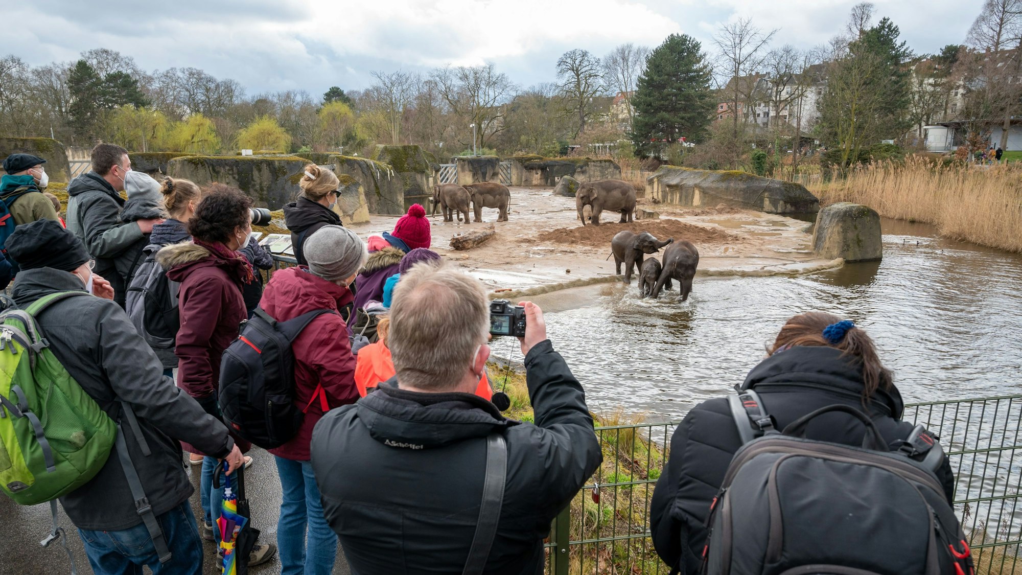 Einige Menschen drängen sich mit Handys und Kameras auf der Plattform vor dem Elefantengehege im Kölner Zoo.