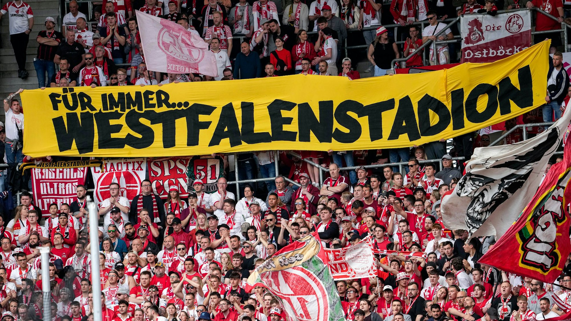 Die Ultras vom 1. FC Köln solidarisieren sich mit einem Spruchband mit den Fans vom BVB.