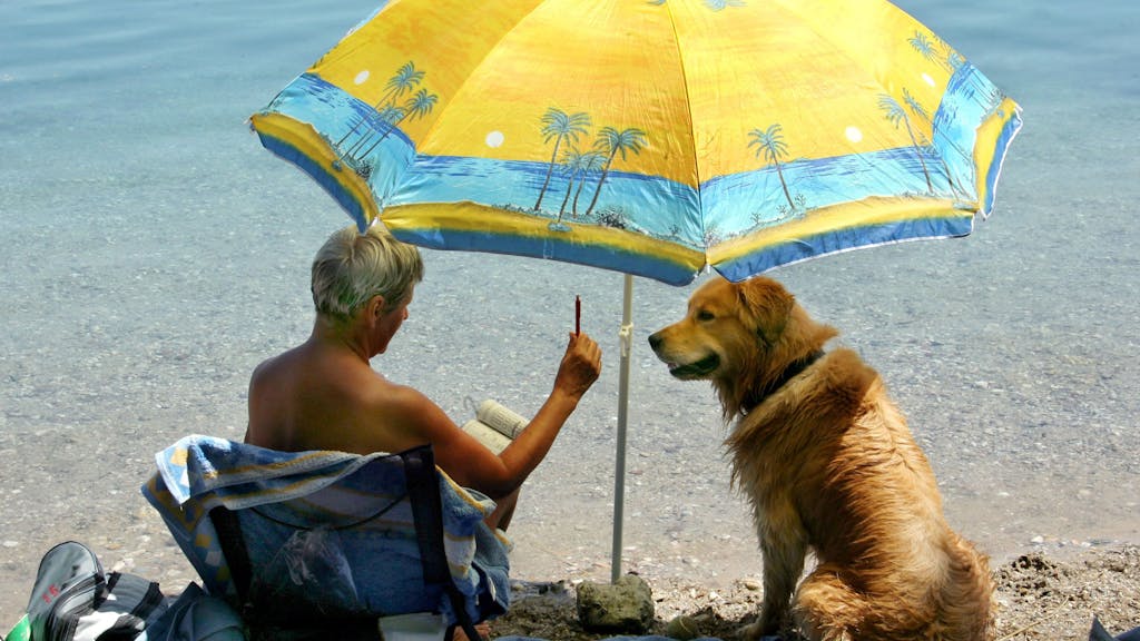 Eine Frau sitzt am Mittwoch (19.07.2006) bei Außentemperaturen von über 30 Grad und Wassertemperaturen um 25 Grad mit ihrem Hund unter einem Sonnenschirm am Moritzsee bei Ammelshain (nahe Leipzig).&nbsp;