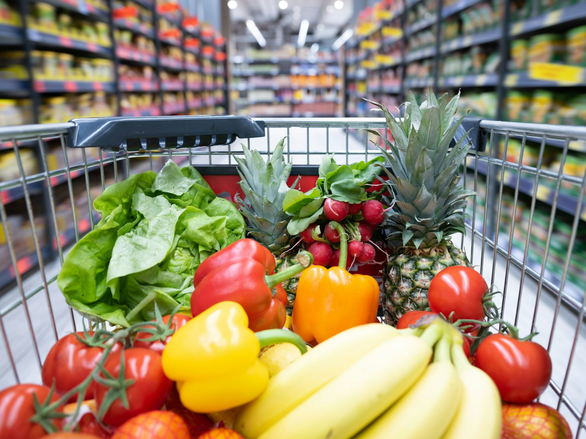 Ein Einkaufskorb mit Obst und Gemüse steht in einem Supermarkt.