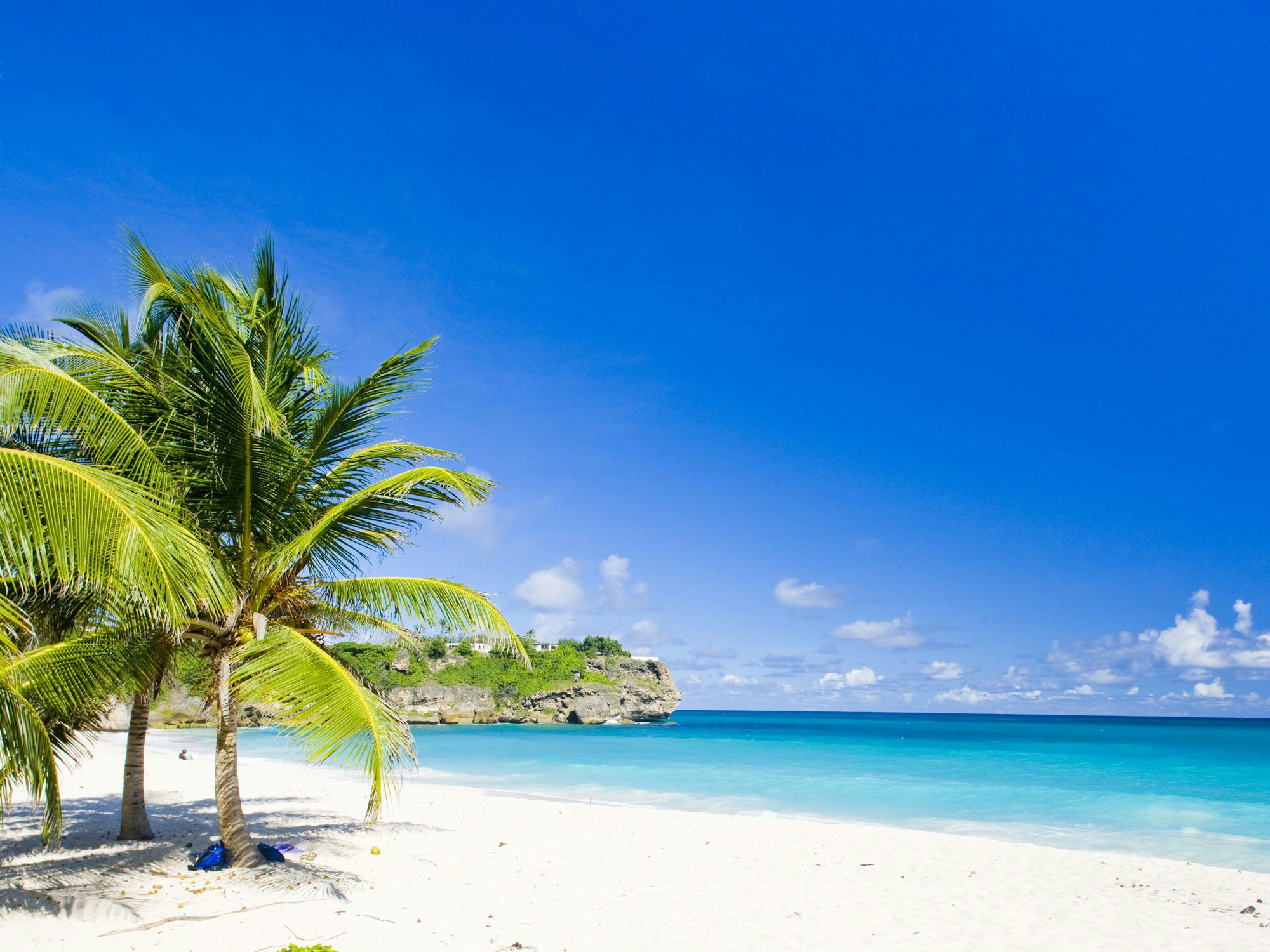 Ein Strand mit grünen Palmen und hellblauem Meer auf Barbados.
