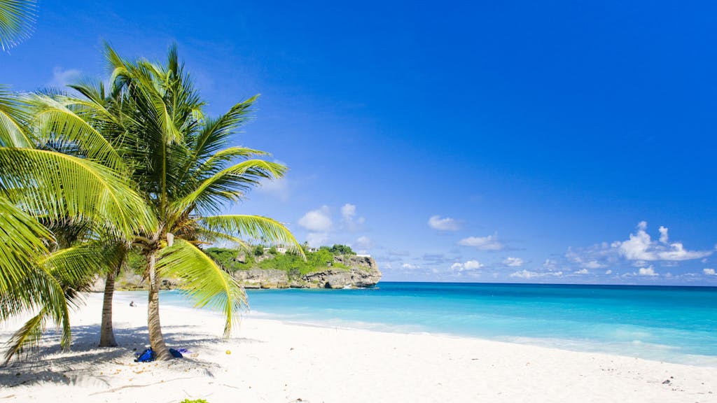 Ein Strand mit grünen Palmen und hellblauem Meer auf Barbados.&nbsp;