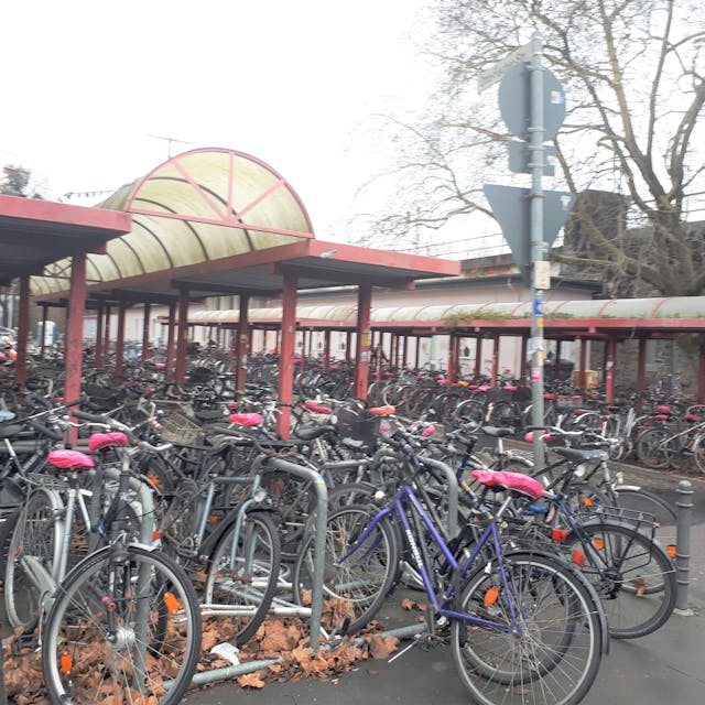 Fahrräder stehen am Südbahnhof unter einem Dach.
