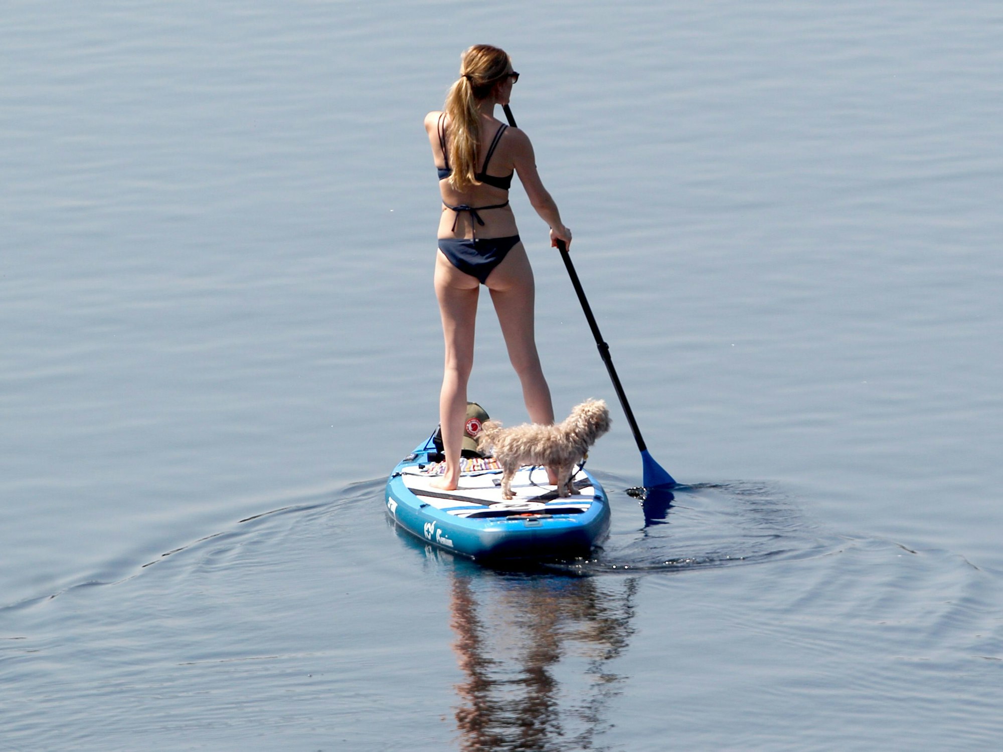 Eine Frau fährt im Sommer 2020 mit ihrem Stand-Up Paddle Board in Duisburg übers Wasser: In dieser Woche wird der erste Sommertag erwartet.