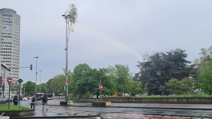 Zu sehen ist ein Maibaum auf dem Ebertplatz in Köln.