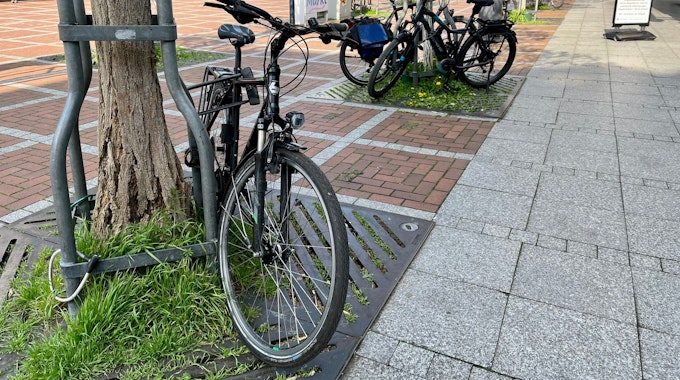 Fahrräder am Wiesdorfer Platz, die an Baumgerüsten angeschlossen sind.