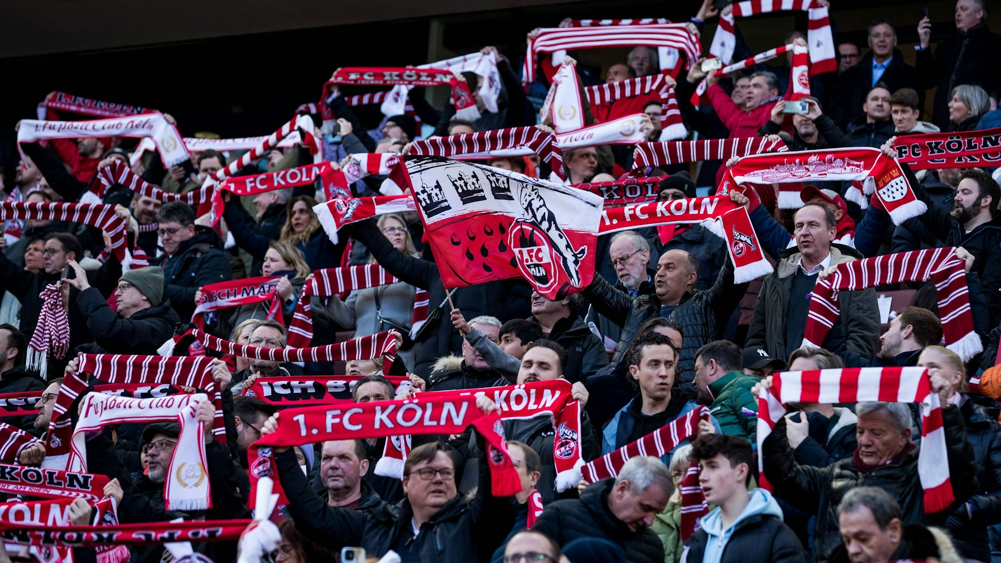 Fans vom 1. FC Köln im Stadion mit Schals und Fahnen.