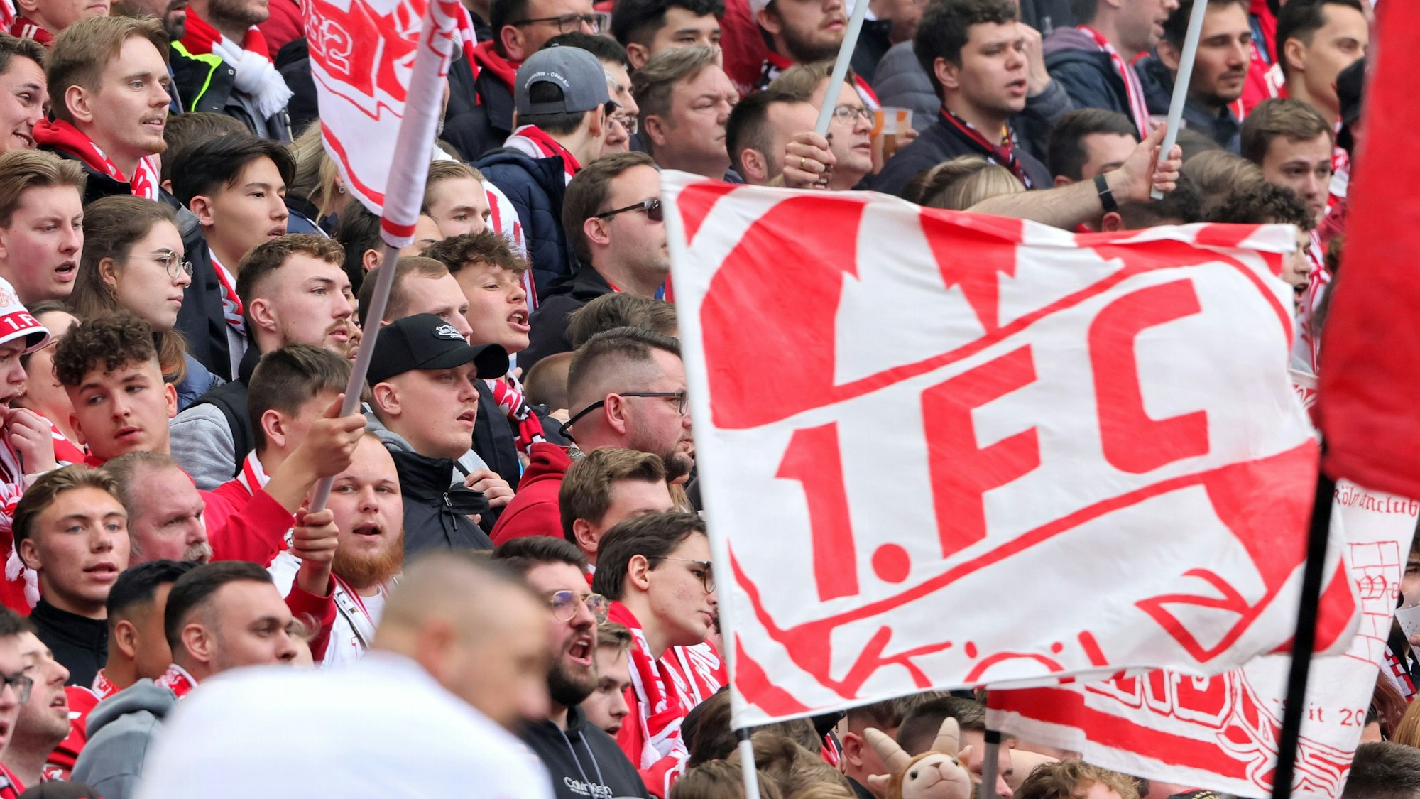 Fans des 1. FC Köln im Stadion