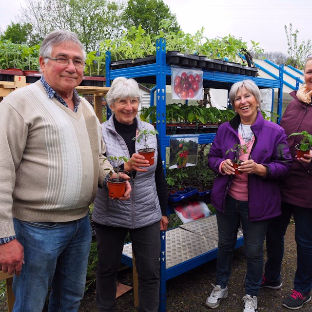 Günter Stadtfeld, Ehefrau Rosemarie, Nachbarin Christa Limbach und Monika Burger-Schmidt stehen mit Tomatenpflanzen in der Hand vor Pflanzregalen.&nbsp;