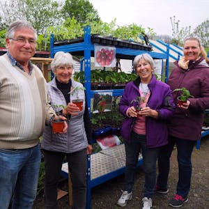 Günter Stadtfeld, Ehefrau Rosemarie, Nachbarin Christa Limbach und Monika Burger-Schmidt stehen mit Tomatenpflanzen in der Hand vor Pflanzregalen.&nbsp;