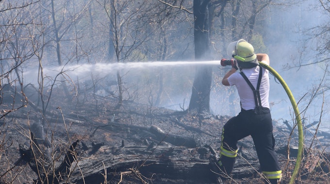 Ein Feuerwehrmann mit Löschschlauch im Waldgelände.