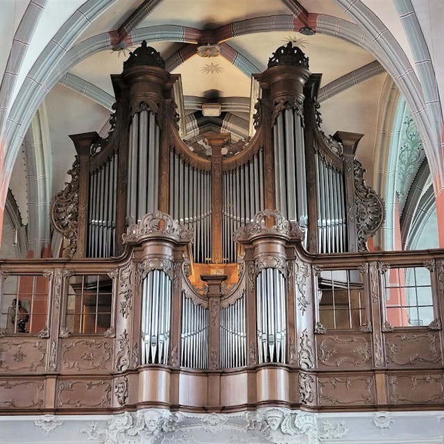 Blick auf die Pfeifen der König-Orgel in der Schlosskirche.