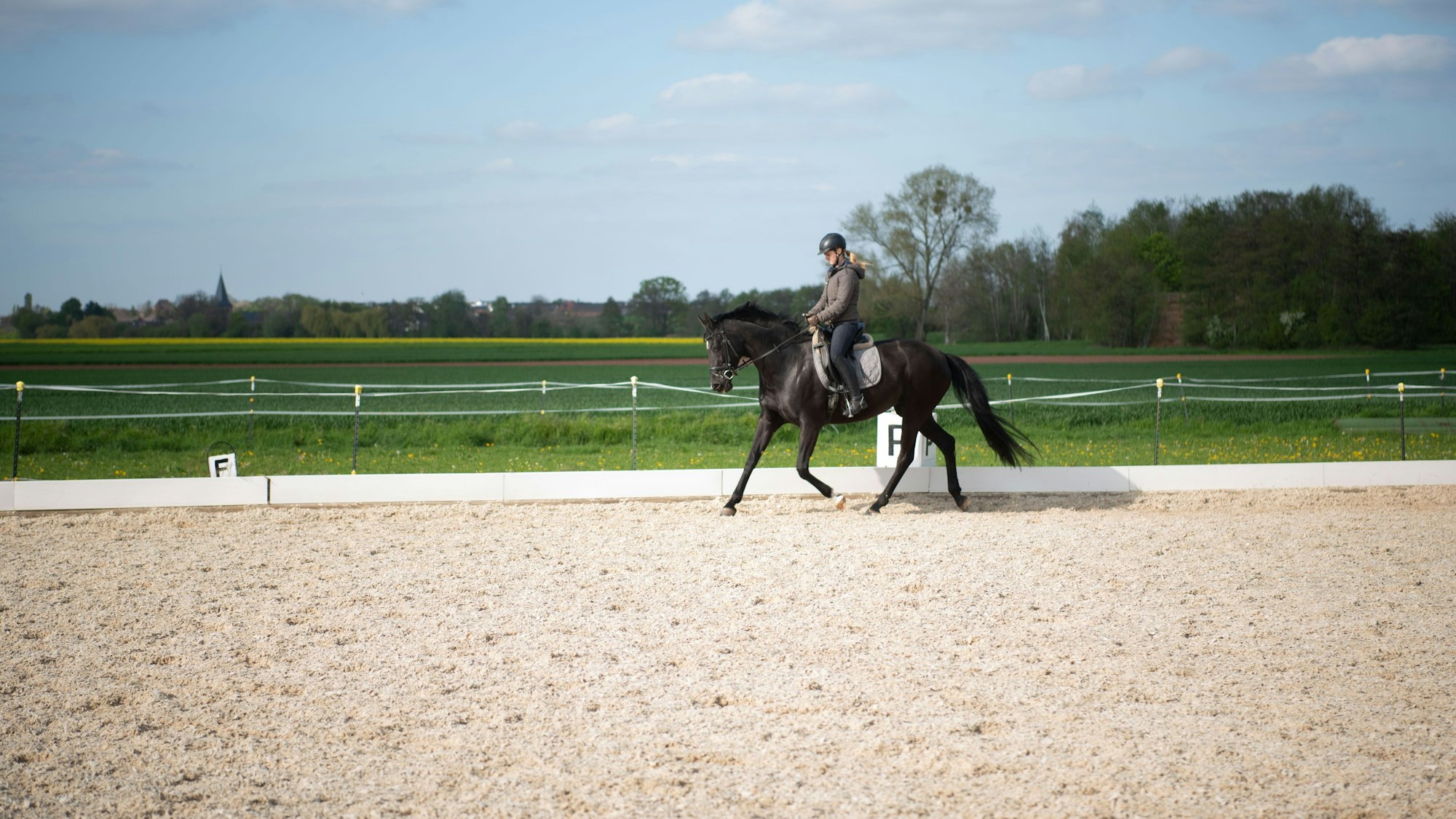 Eine Reiterin trainiert auf einer Reitanlage auf einem Pferd.