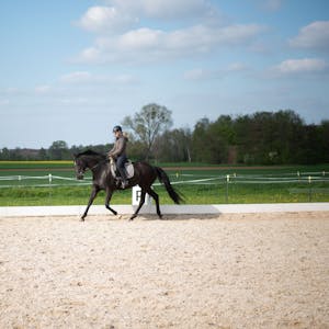 Eine Reiterin trainiert auf einer Reitanlage auf einem Pferd.