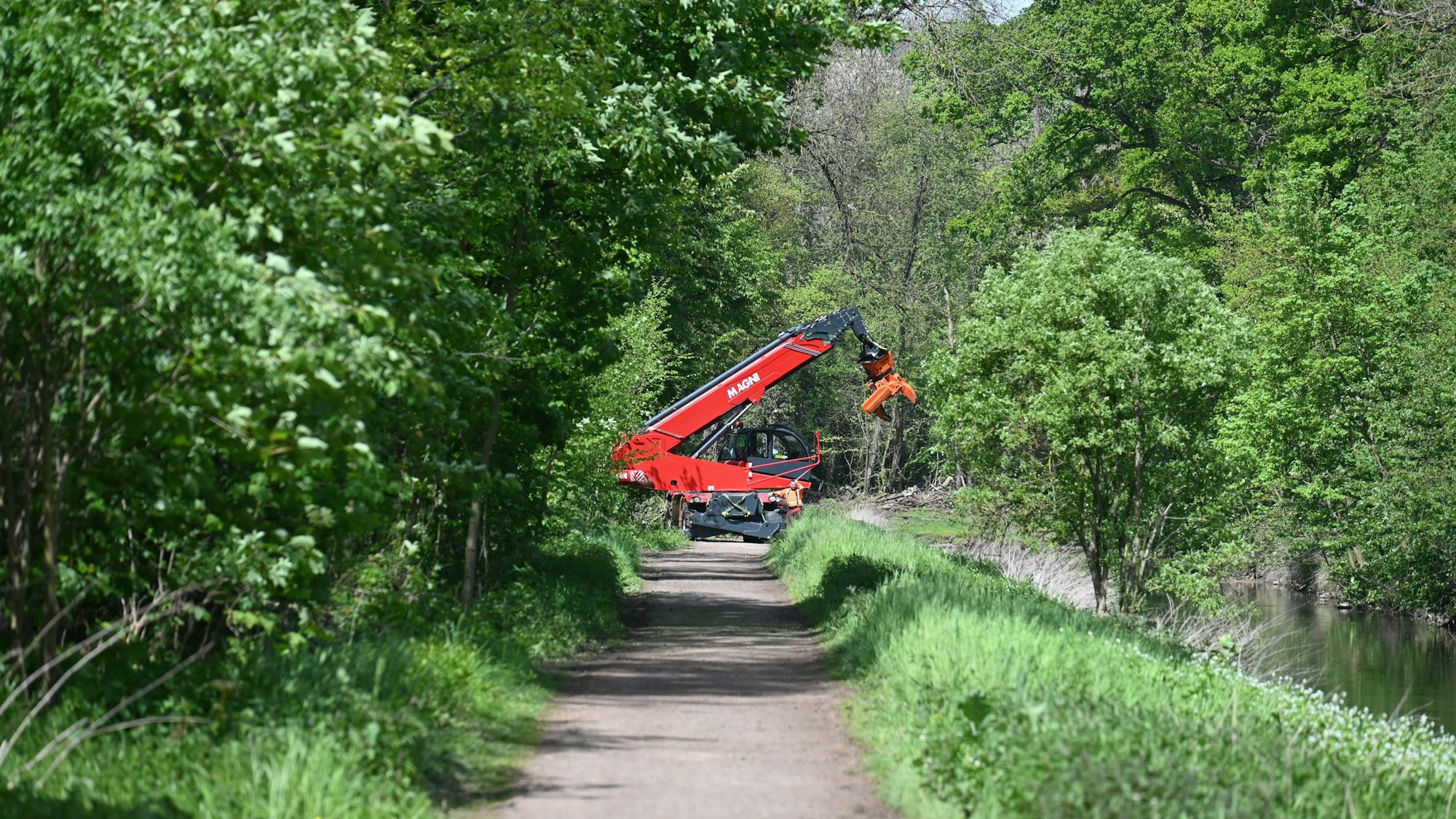 Das Foto zeigt eine schwere Baumaschine, die im Waldgebiet Parrig gefällte Baumstämme anhebt.