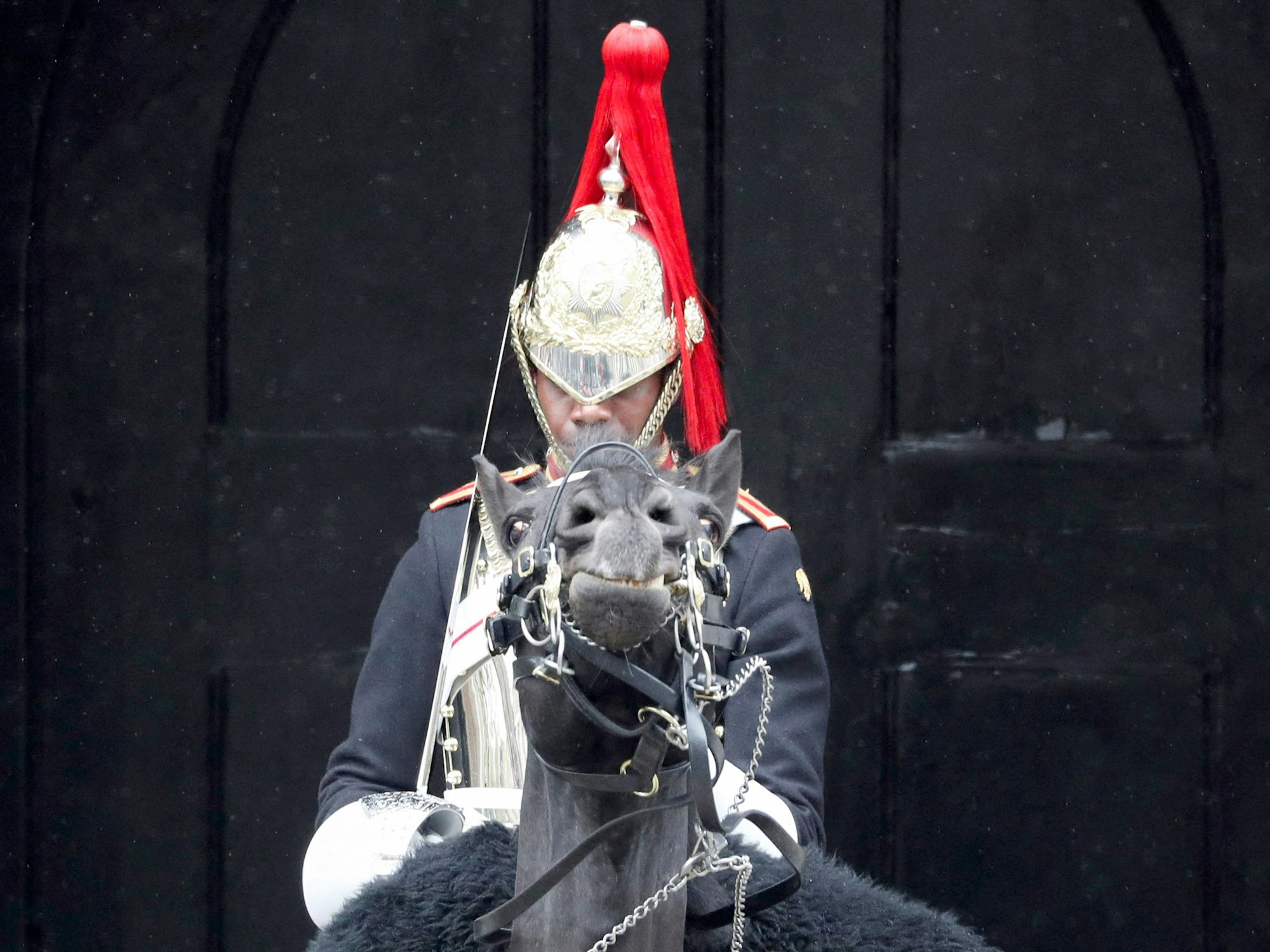Ein Mitglied der Household Cavalry wartet während der Krönungszeremonie des britischen Königs Charles III. und Königsgemahlin Camilla auf seinem Pferd.