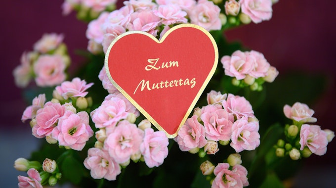 Ein Herz mit der Aufschrift „Zum Muttertag“ steckt in einem Blumengeschäft in einem Topf mit der Pflanze.