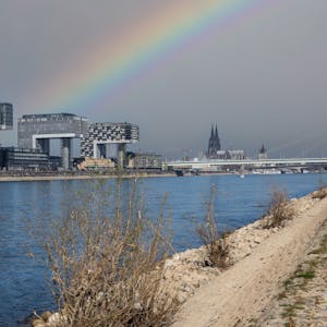 Regenbogen hinter den Kranhäusern am Rhein in Köln