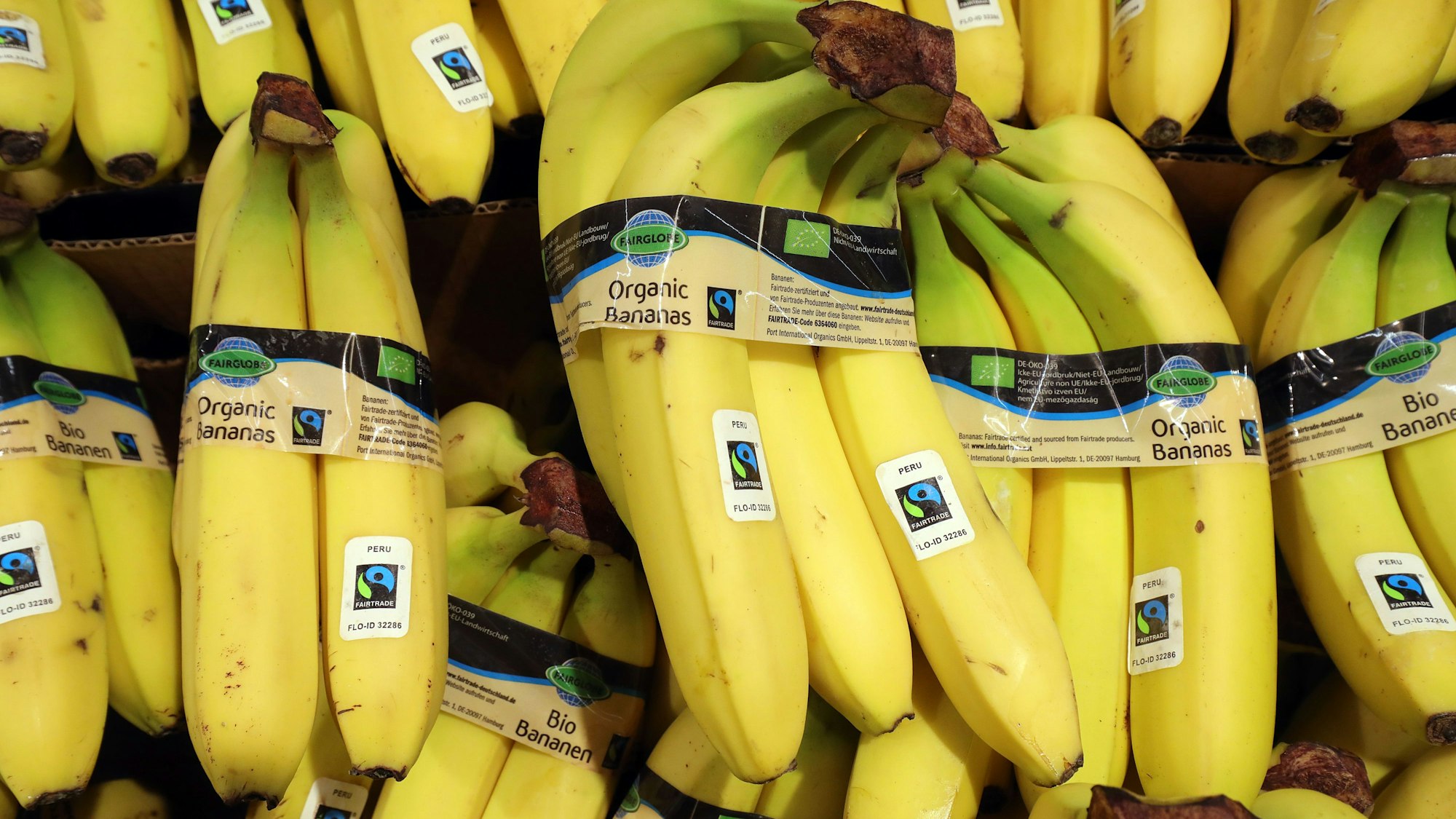 Bio-Bananen werden in einem Supermarkt angeboten.