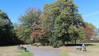 In dem Park stehen zwei Bäume und eine Tischtennisplatte.