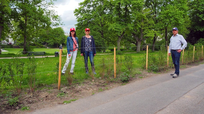Zwei Frauen und ein Mann stehen bei einer frisch gepflanzten Hecke, in der deutliche Lücken zu sehen sind.&nbsp;