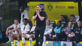 Gladbach-Trainer Daniel Farke ist massiv in die Kritik geraten. Gerüchte, dass er entlassen werden soll, sind bereits da. Hier ist der 46-Jährige während der Fohlen-Klatsche (2:5) im Bundesliga-Topspiel bei Borussia Dortmund (13. Mai 2023) zu sehen.