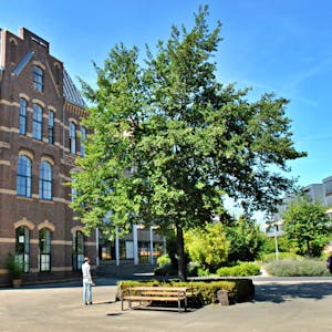 Ein Gebäude des Vulkan-Gewerbeparks in Köln-Ehrenfeld mit begrünter Außenfläche.&nbsp;