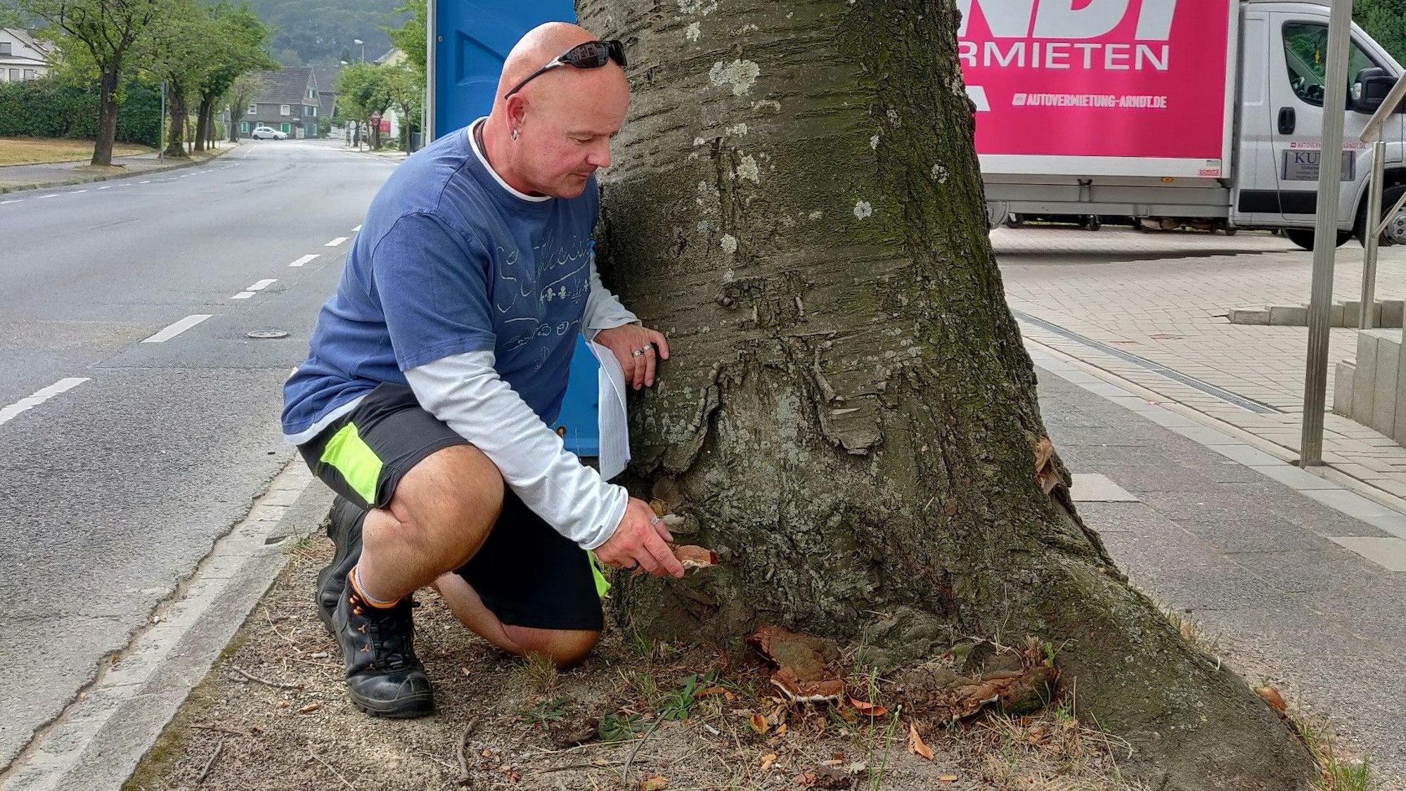 Baumpfleger Oliver Heidelberg an einem Baumstamm an der Neukirchener Straße.