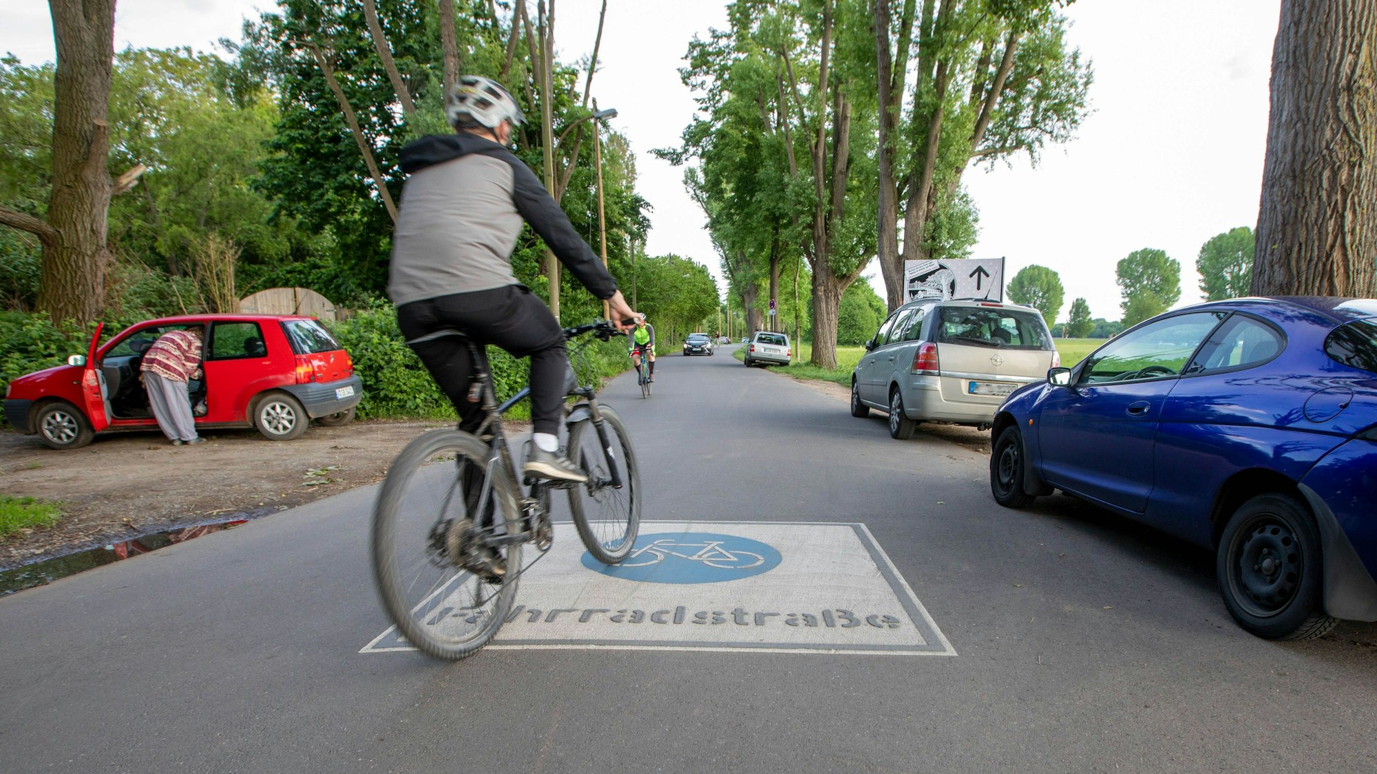 Ein Fahrradfahrer auf der Fahrradstraße und parkende Autos am Rande des Weidenwegs an den Poller Wiesen in Köln.