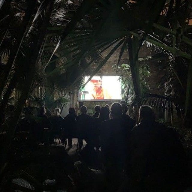 Zwischen Palmen steht im Tropenhaus eine Kinoleinwand.