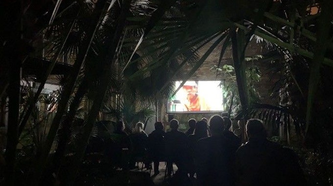 Zwischen Palmen steht im Tropenhaus eine Kinoleinwand.