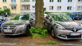 Zwei Autos parken sehr nahe links und rechts von einem Baum.