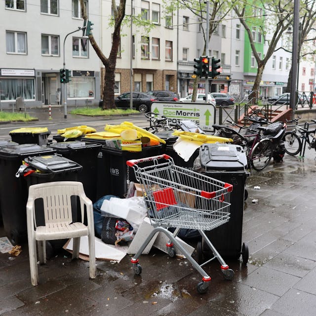 Die Mülltonnen und der wild abgelegte Unrat stören die Anwohner bereits seit etwa einem Jahr. Foto: Uwe Schäfer