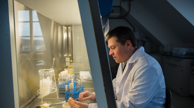 Der Leiter des Nationalen Referenzzentrums für invasive Pilzinfektionen, Oliver Kurzai, begutachtet im Januar 2018 in einem Labor der Universität in Würzburg (Bayern) einen Hefepilz in einer Petrischale hinter einem Schutzglas.