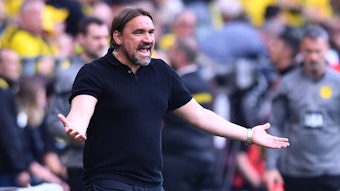 Daniel Farke aufgebracht! Das Foto zeigt den Trainer von Borussia Mönchengladbach mit beiden Armen gestikulierend beim Bundesliga-Spiel gegen Borussia Dortmund am 13. Mai 2023.
