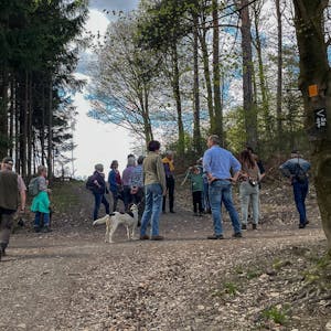 Auf der Waldwanderung mit der „Schutzgemeinschaft Deutscher Wald“ auf den Lüderich versammeln sich Teilnehmende zum Zwischenstopp. Eine Weggabelung mit vielen Menschen und einigen Hunden ist abgebildet.