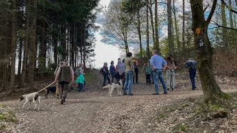 Auf der Waldwanderung mit der „Schutzgemeinschaft Deutscher Wald“ auf den Lüderich versammeln sich Teilnehmende zum Zwischenstopp. Eine Weggabelung mit vielen Menschen und einigen Hunden ist abgebildet.