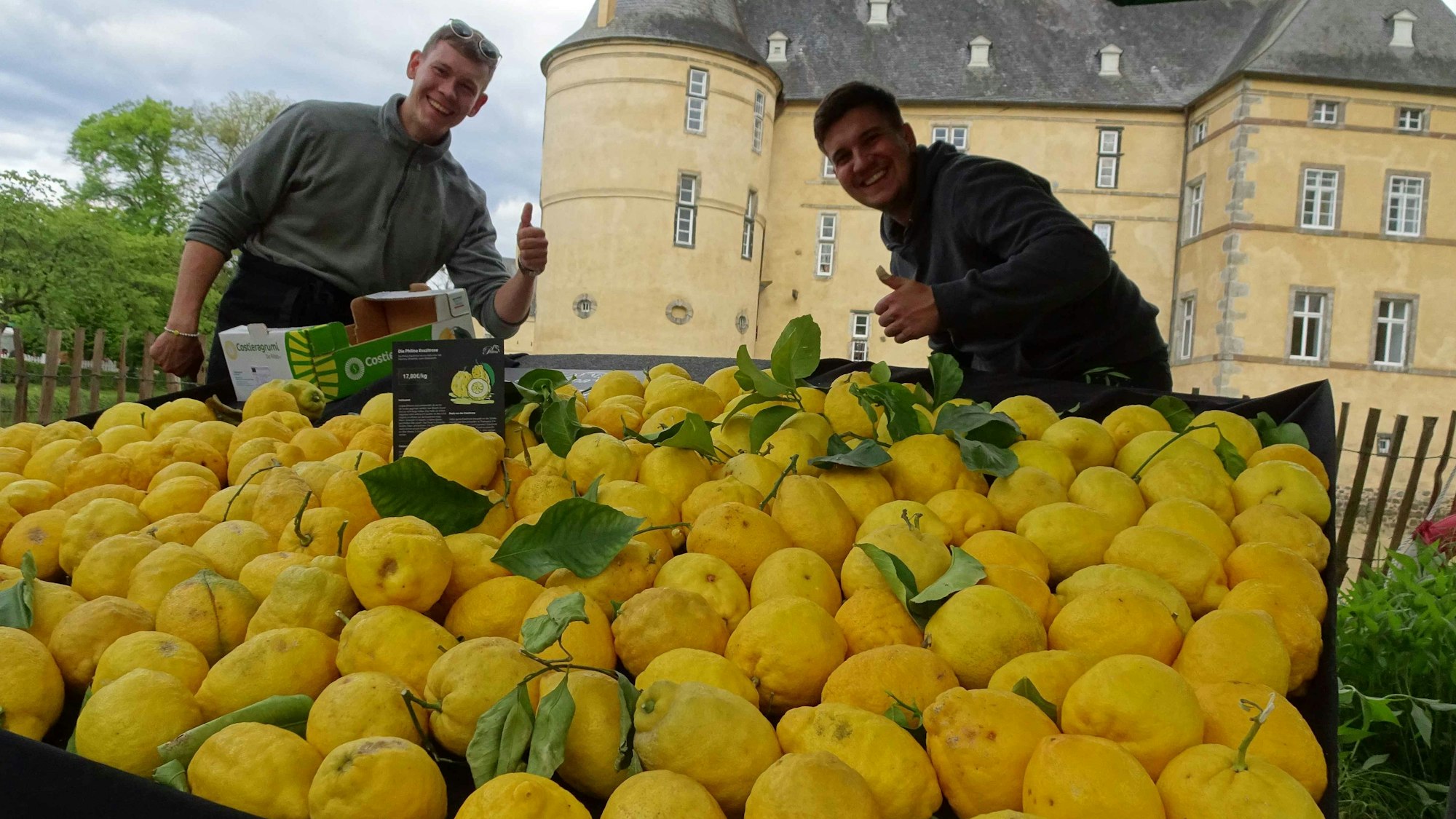 Süße Esszitronen vor Schlosskulisse beiten feil (von links) Marc Gutmann und Maximilian Müller.