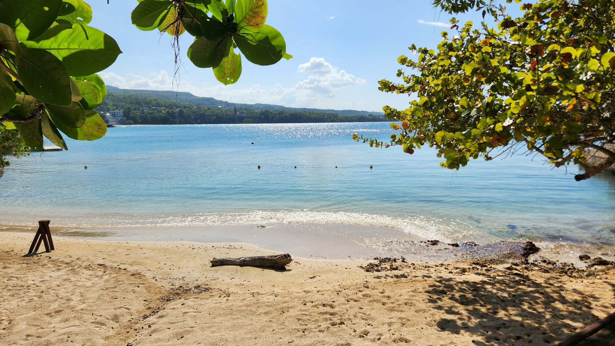 Ein Strand im Norden Jamaikas. Durch die Blätter eines Baumes blickt man auf das Meer.