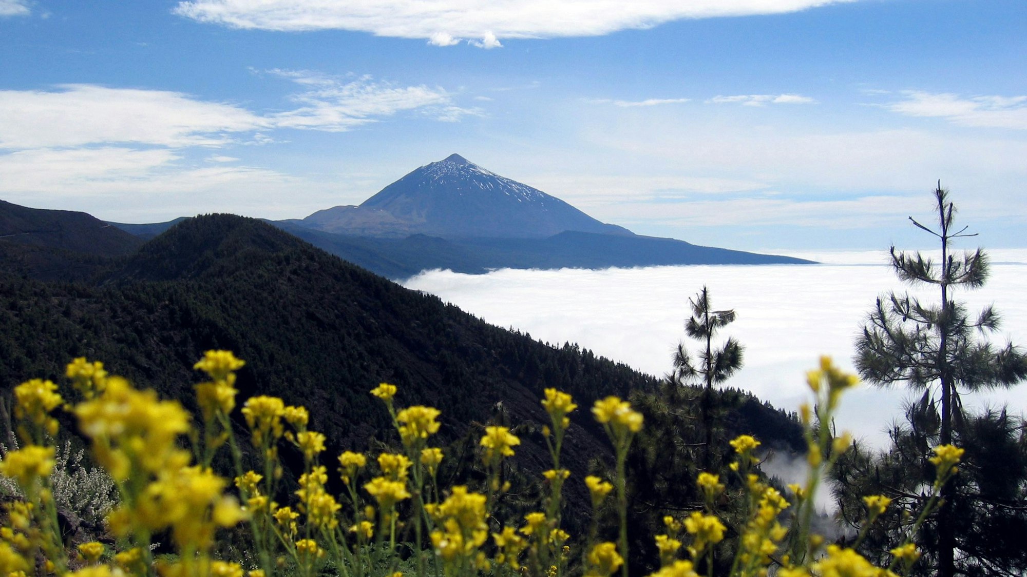Blick auf den „Pico del Teide“ auf der kanarischen Insel Teneriffa.
