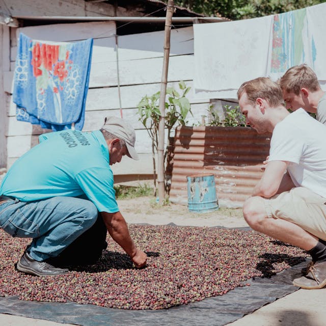 Oswaldo Chávez Gabriel (l.), Präsident der Kooperative Adiba, zeigt Tilman Böing und Frederik Baumann (r.) von Zwoo Kaffeeröster die Ernte der Kaffeebauern in Guatemala.&nbsp;