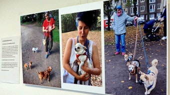 Auf drei Fotos sind Frauen mit ihren Hunden zu sehen, zwei von ihnen führen gleich drei Hunde an der Leine.