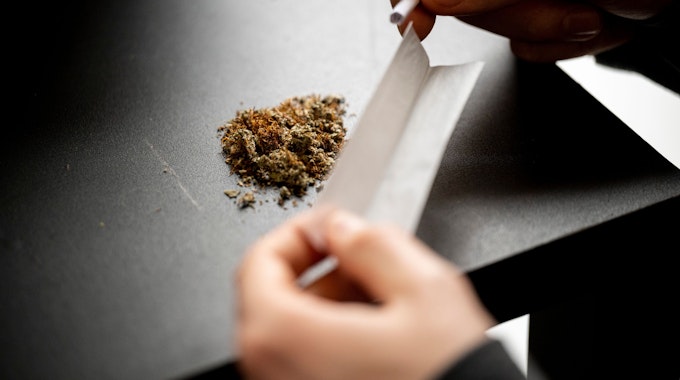 Ein Mann baut einen Joint. Auf der Tischplatte liegt das Marihuana, in den Händen hält der Mann das Papier zum Rollen.
