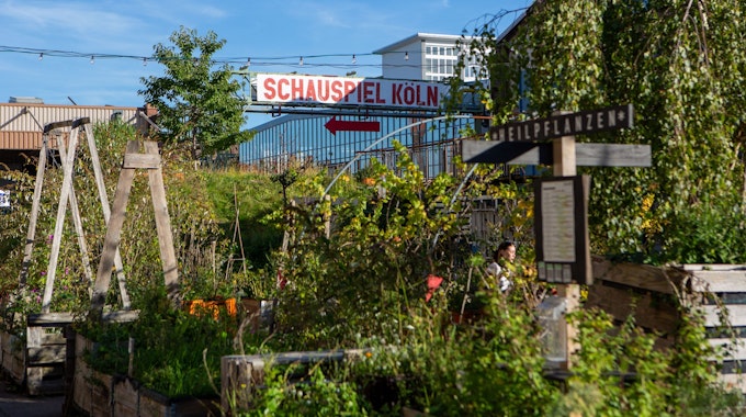 Ein Blick auf den blühenden Carlsgarten vor dem Mülheimer Depot, der Interimsspielstätte des Schauspiels Köln.