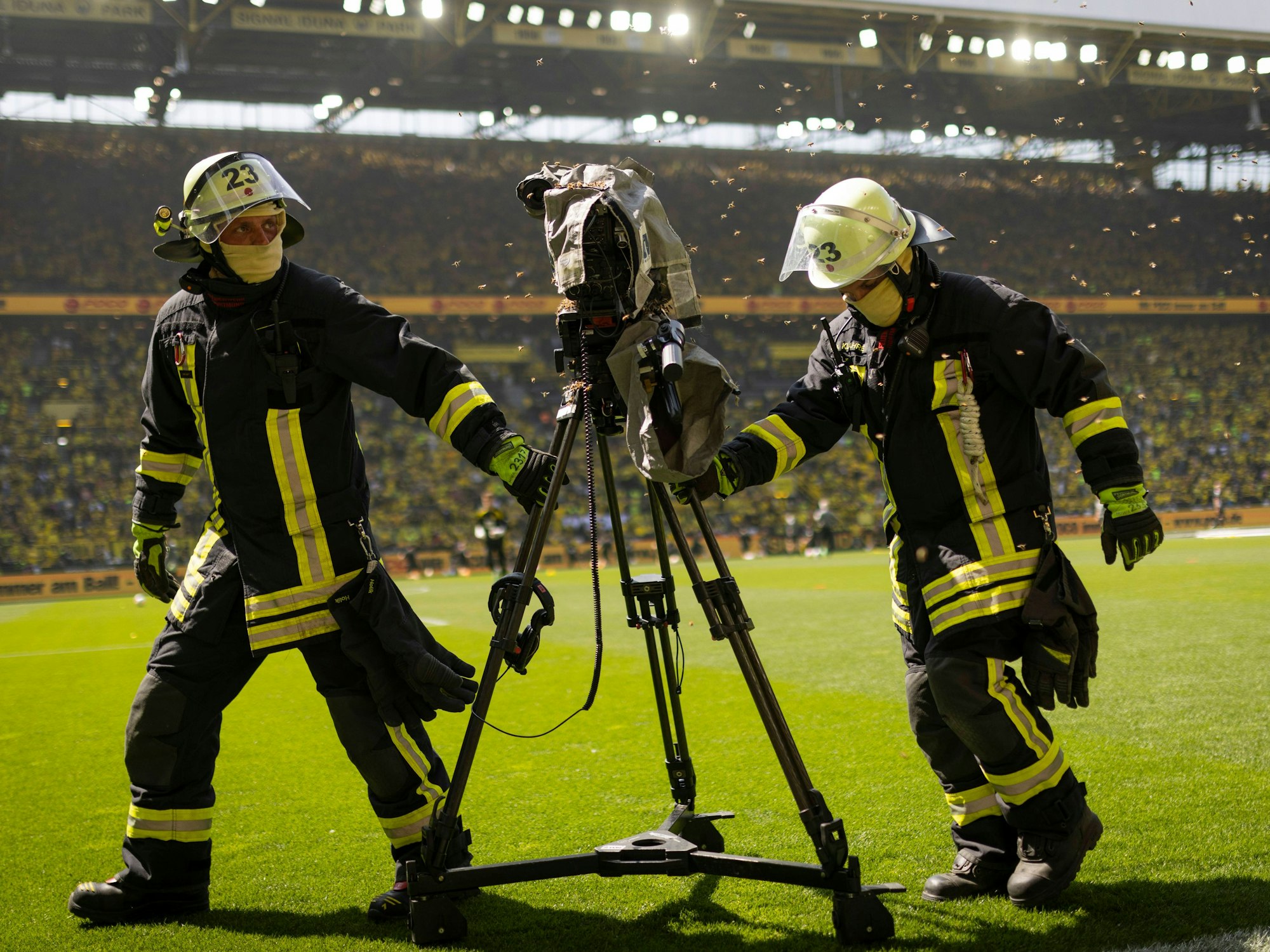 Zwei Feuerwehrmänner tragen eine Kamera des TV-Senders Sky aus dem Stadion, auf dem sich ein Bienenvolk niedergelassen hat.