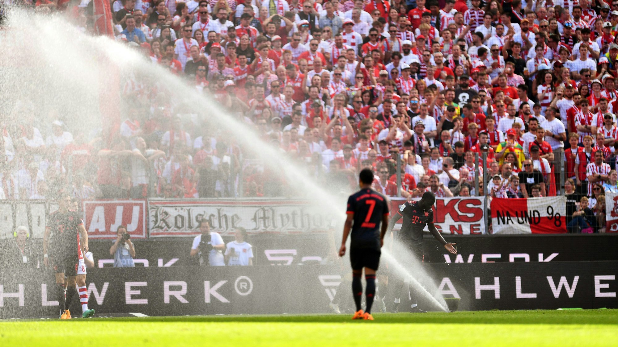 Ein Rasensprenkler geht während des Spiels an, im Vordergrund Bayern-Spieler Serge Gnabry.