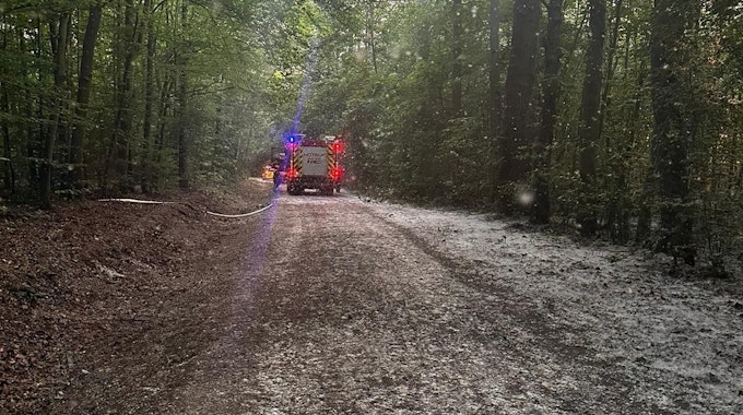 Das Foto zeigt die Einsatzfahrzeuge und der mit Pollen bedeckte Waldweg.