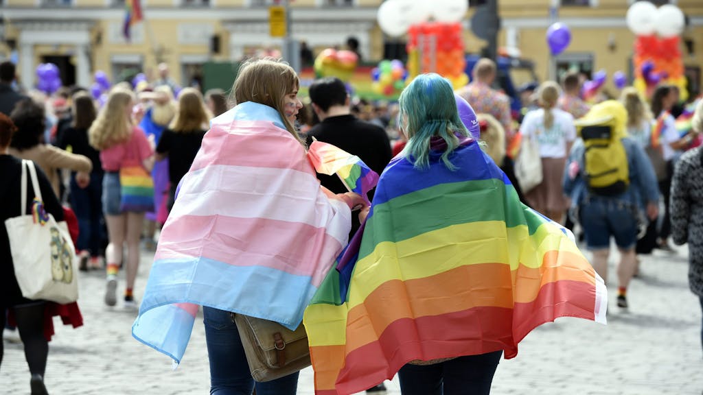Zwei Personen mit einer Regenbogenflagge und einer Trans*-Flagge auf einer Parade.