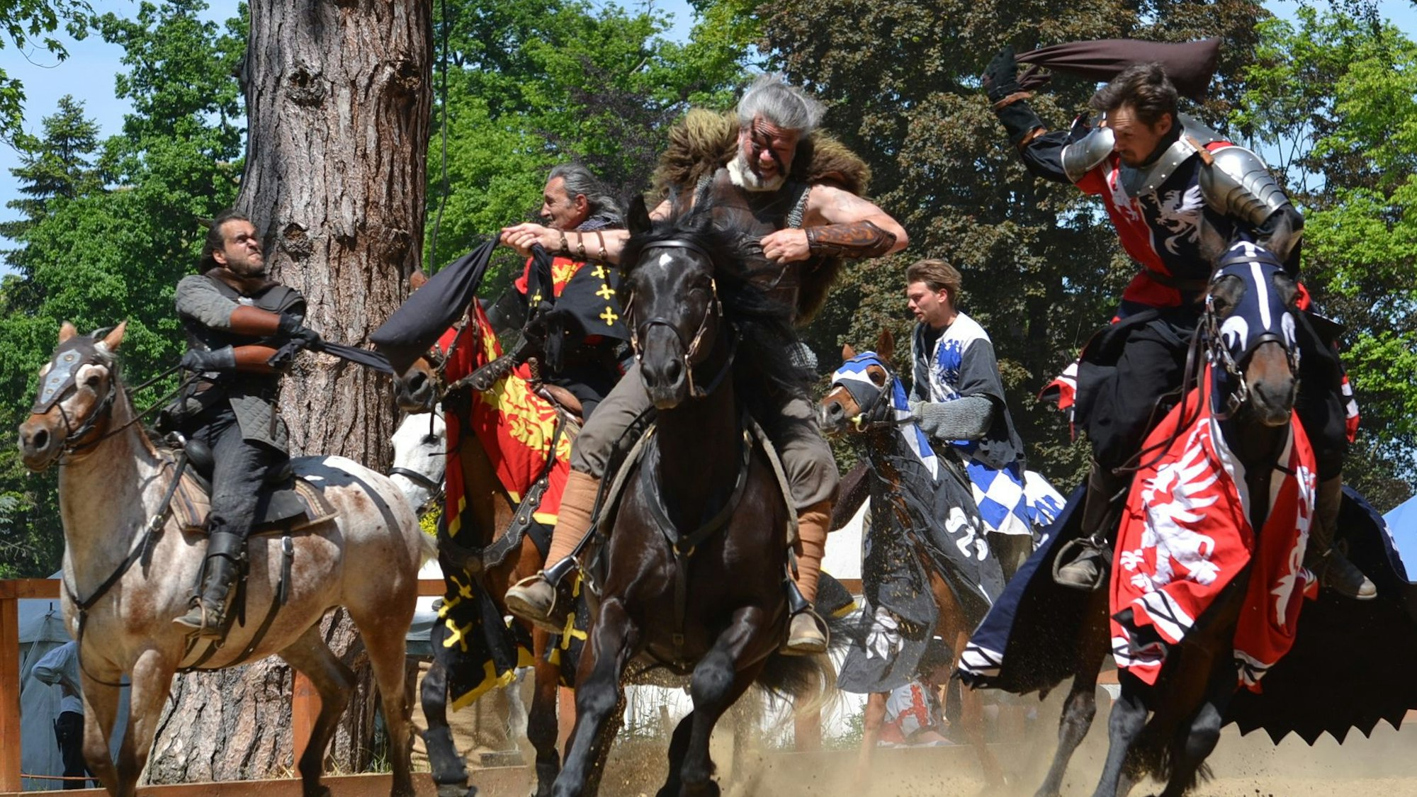 Das Bild zeigt als Ritter und Wikinger verkleidete Reiter, die sich einen Showkampf liefern.