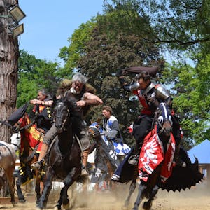 Das Bild zeigt als Ritter und Wikinger verkleidete Reiter, die sich einen Showkampf liefern.